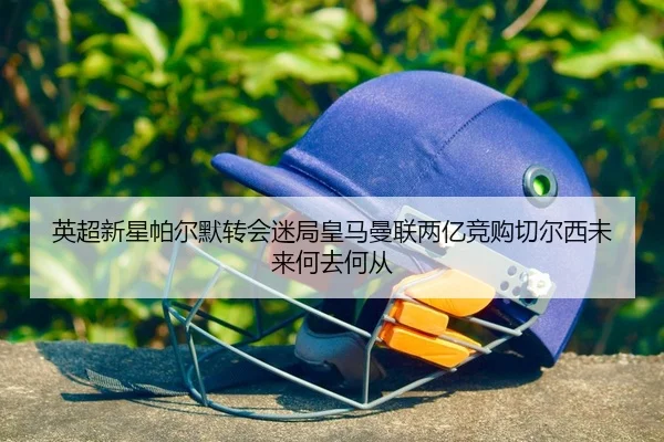 ying-chao-xin-xing-pa-er-mo-zhuan-hui-mi-ju-huang-ma-man-lian-liang-yi-jing-gou-qie-er-xi-wei-lai-he-qu-he-cong-2-699.jpg